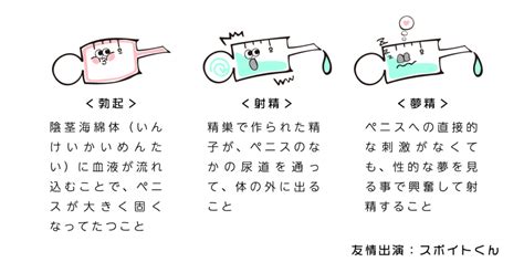 夢中射精|夢中射精